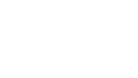 Zizara Store